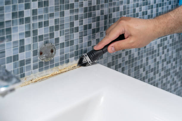 Best Industrial Mold Remediation in The Woodlands, TX