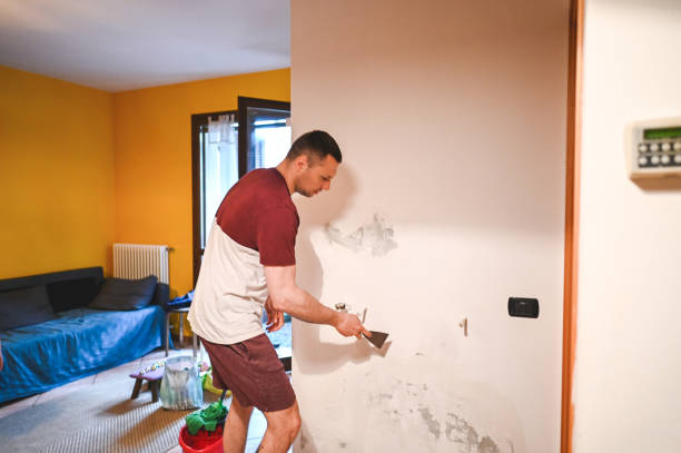 Best Emergency Mold Remediation in The Woodlands, TX