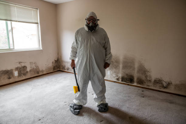 Best Mold Remediation for Specific Building Types in The Woodlands, TX